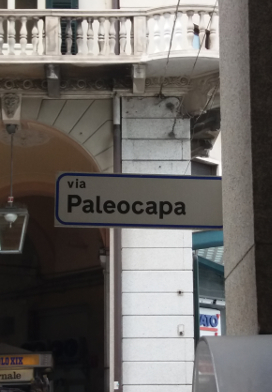 Via Paleocapa à Savone